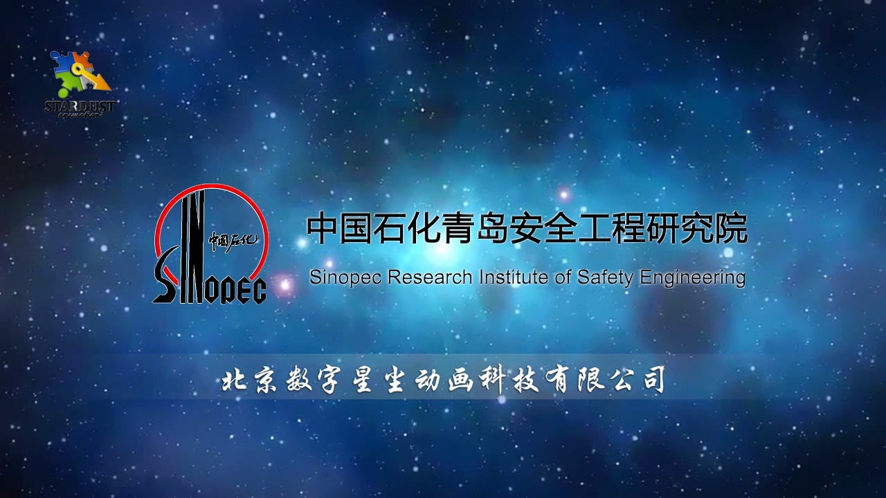 安全领域