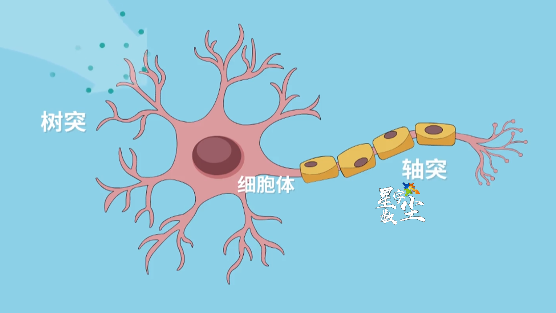 微观二维动画.png
