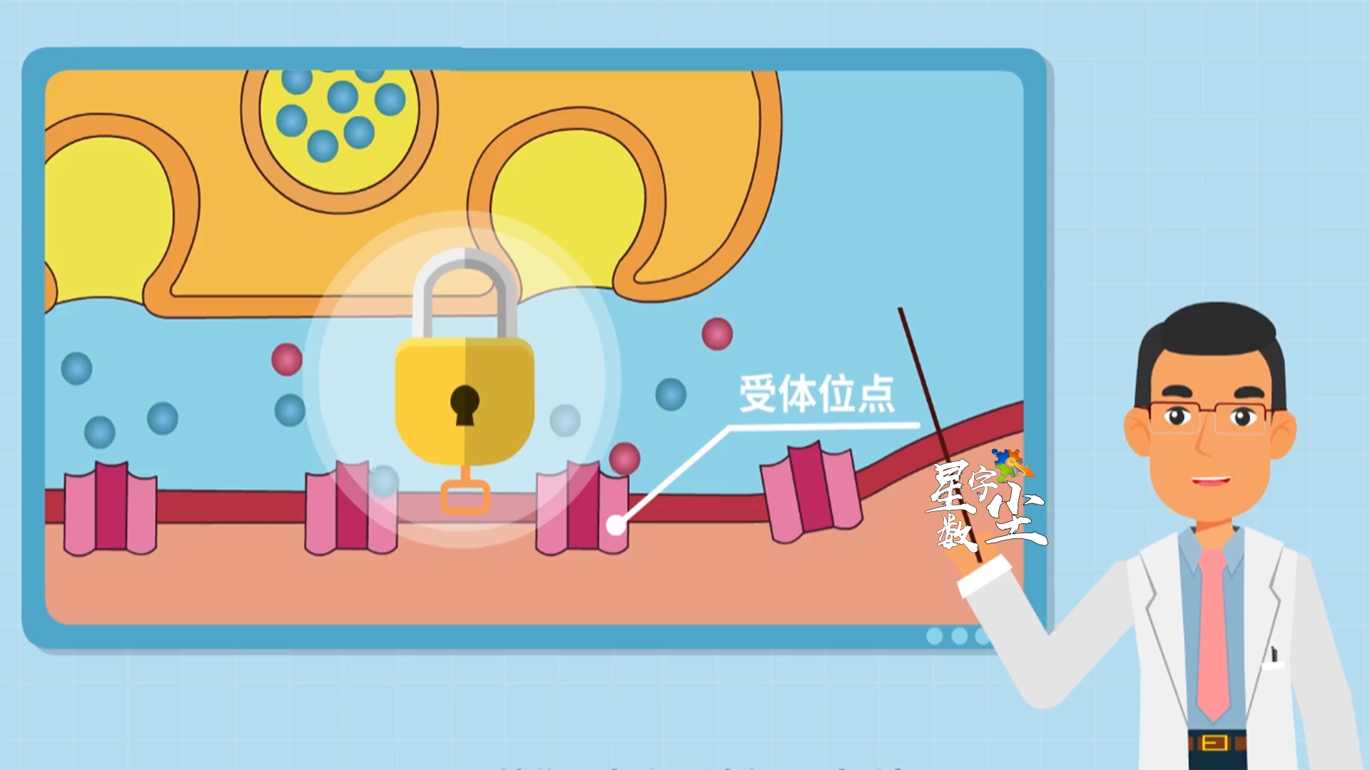 微观教学动画.png