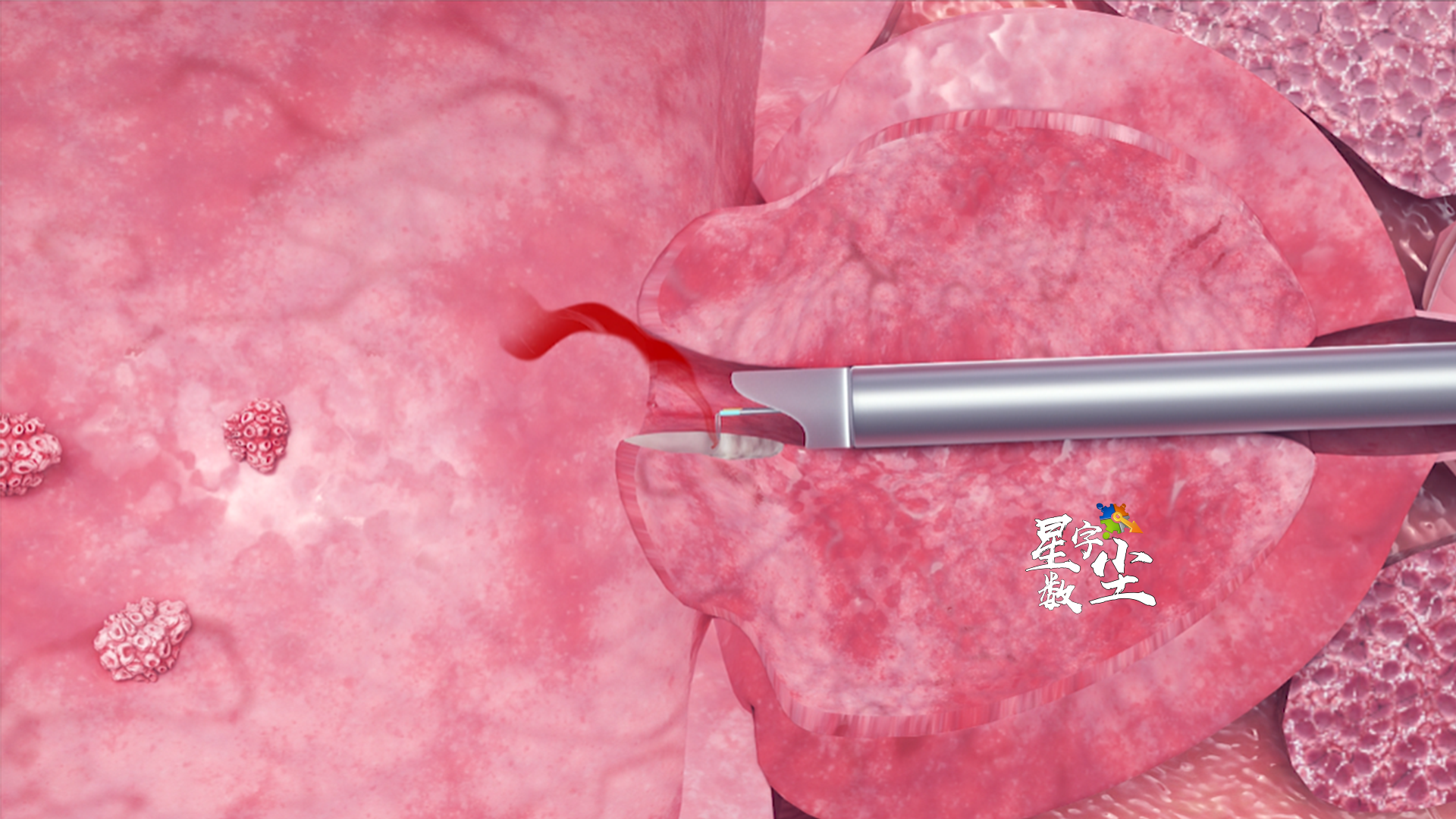 医学教育原理动画.png